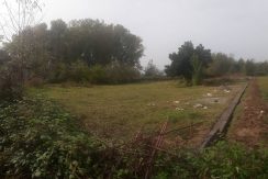 فروش زمین مسکونی2000متری سنددار در حومه لشت نشا(کد1172)
