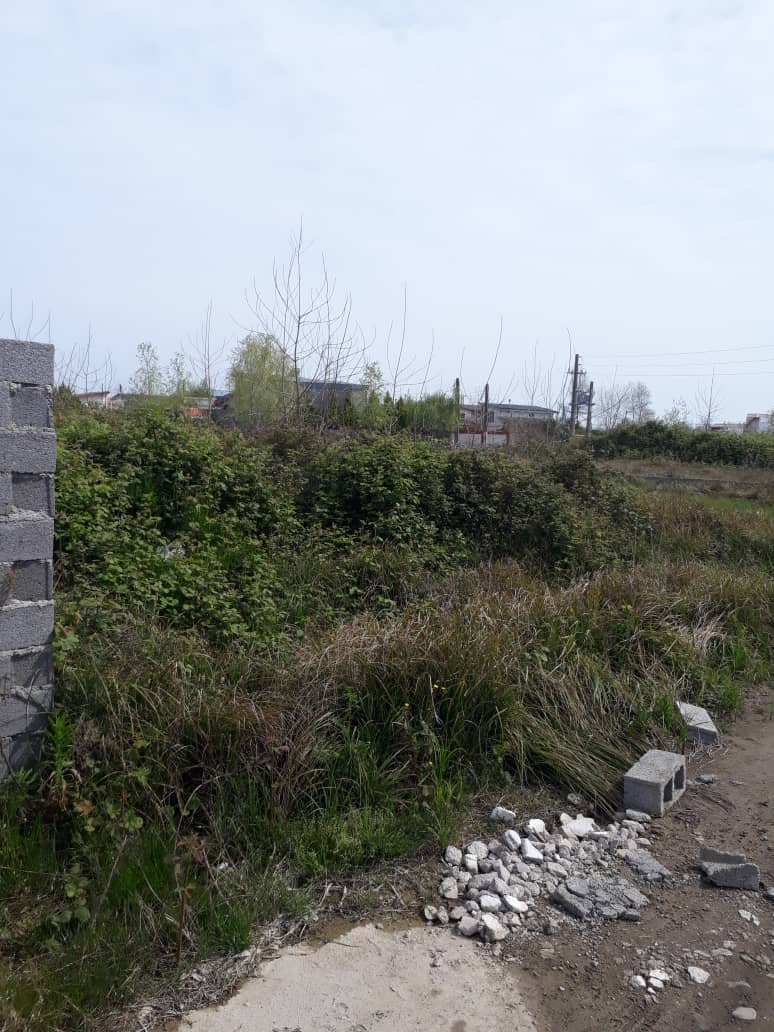 فروش زمین سنددار ساحلی با مجوز ساخت در زیباکنار(کد1190)