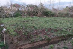 فروش زمین مسکونی با مجوز ساخت در لشت نشا(کد436)